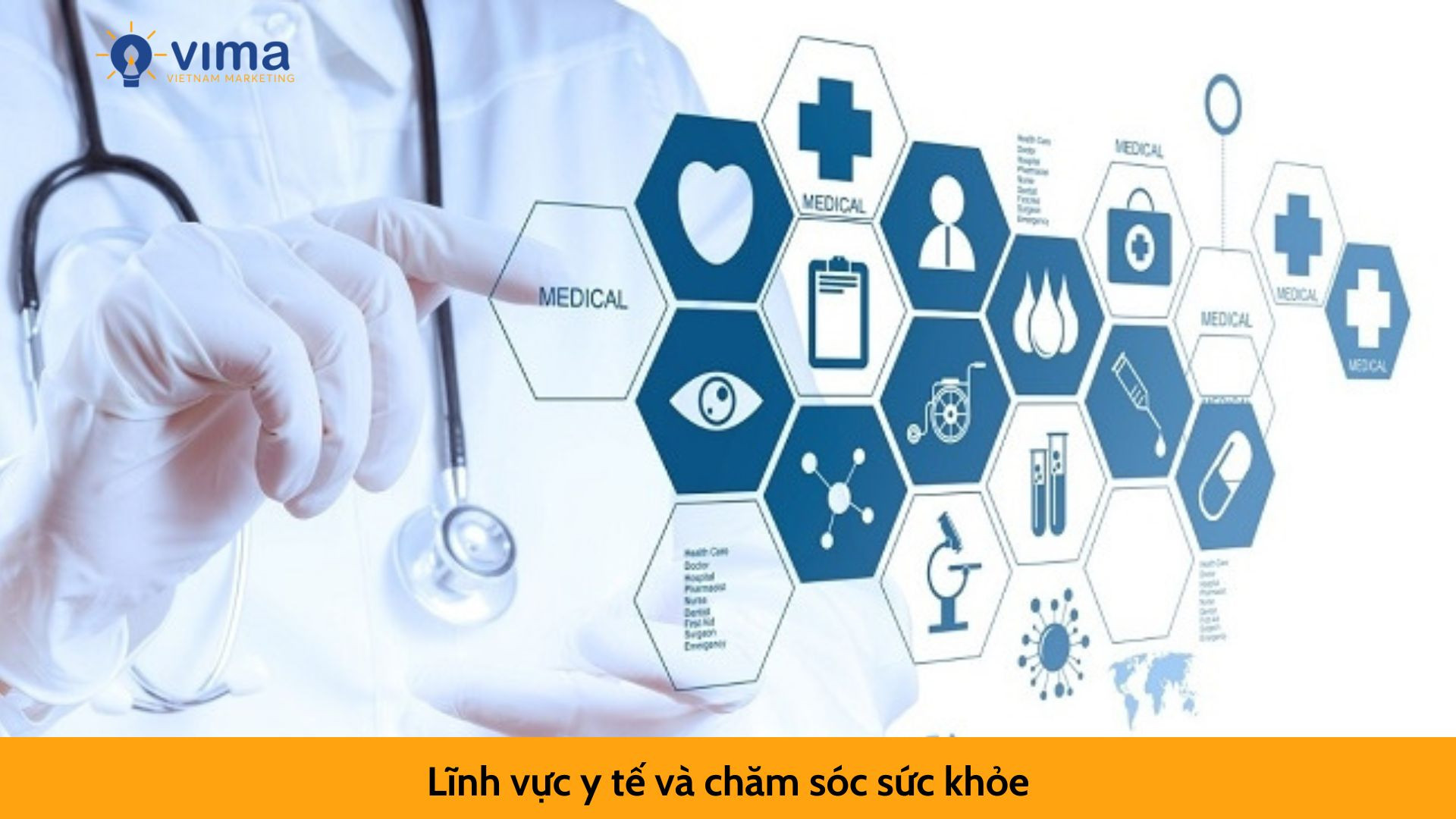 Lĩnh vực y tế và chăm sóc sức khỏe